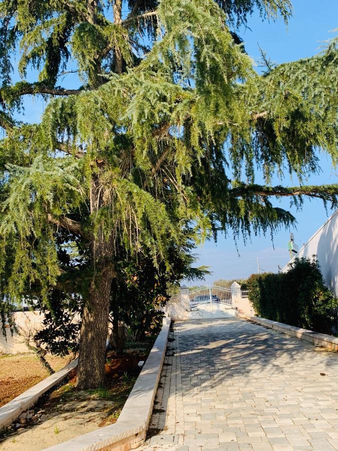 Trullo Labellavita Путіньяно Екстер'єр фото